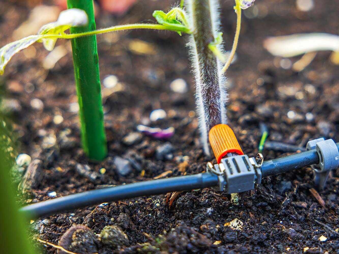 Bewässerung und Wassermanagement