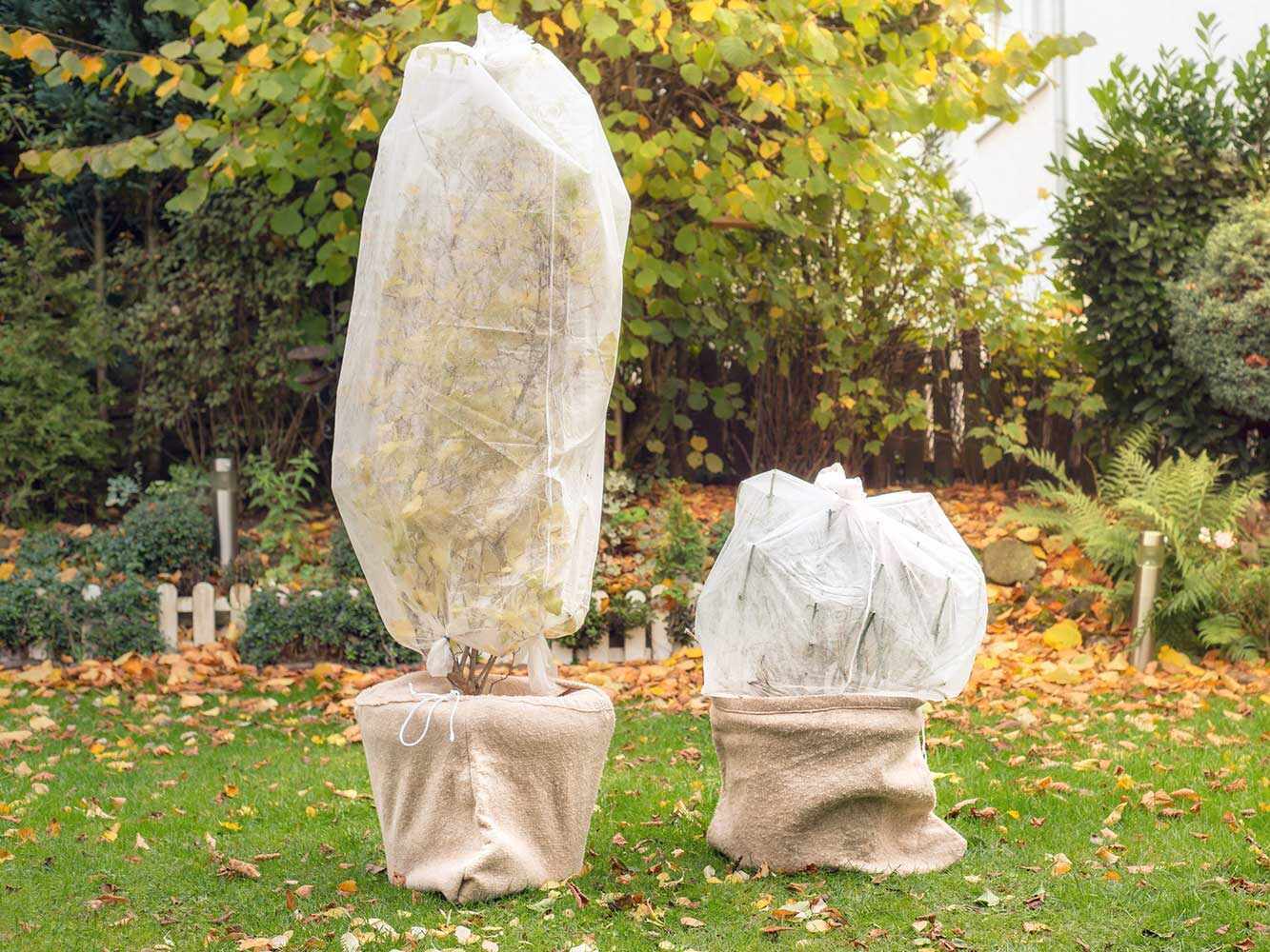 Winterschutz für Pflanzen Winterschutz für Pflanzen