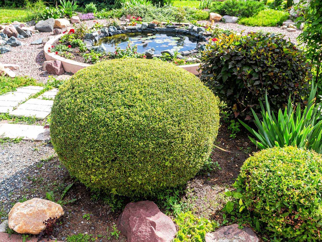 Kugel Formschnitt Kugel Formschnitt