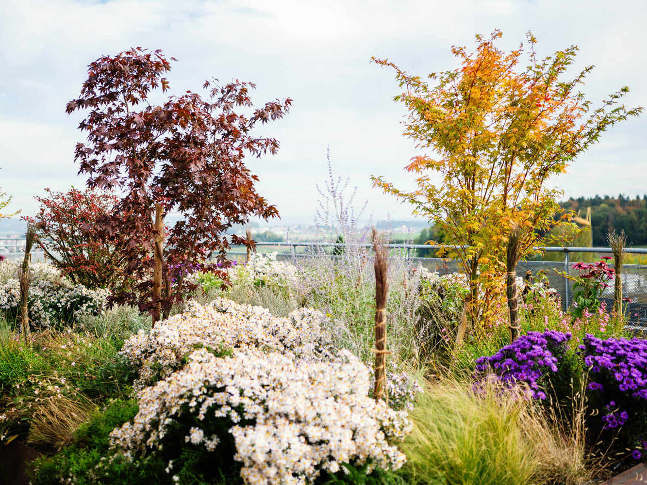 Terrassengestaltung mit Pflanzen