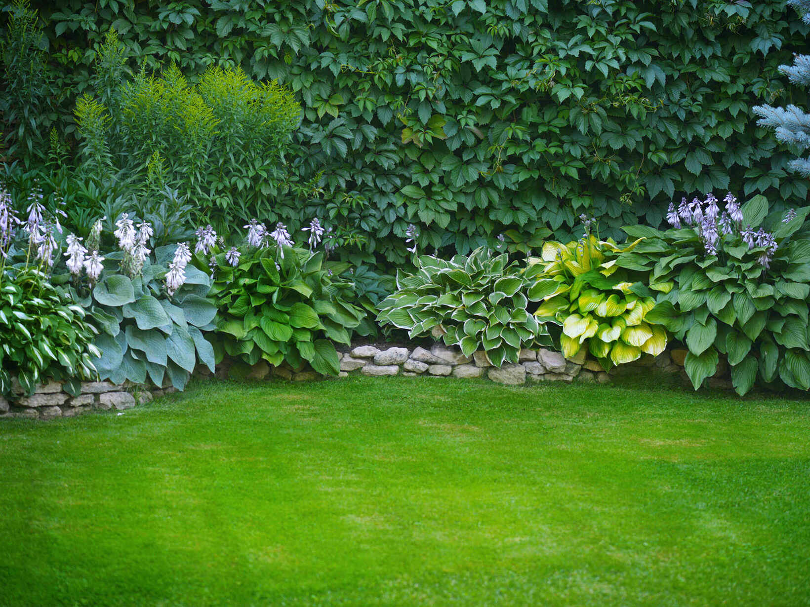 Rasenpflege und Rasensanierung