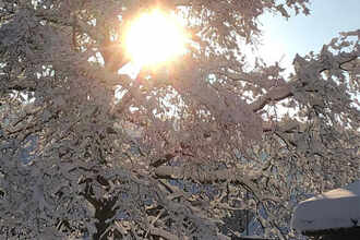 Garten winterfest machen, Tipps und Checkliste - M. Kubli Gartenpflege und Gestaltung, Niederglatt