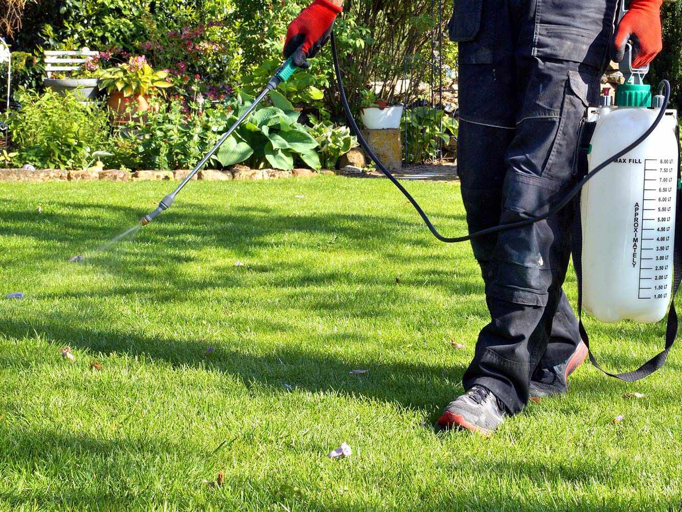 Rasenpflege vor der Winterpause Rasenpflege vor der Winterpause