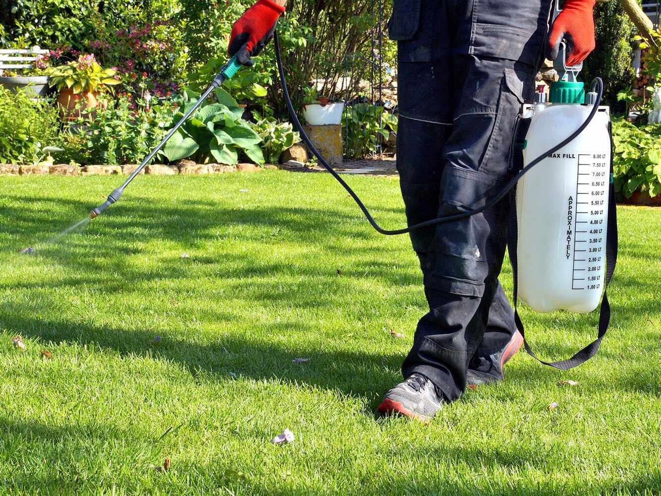 Schädlings- und Krankheitsprävention