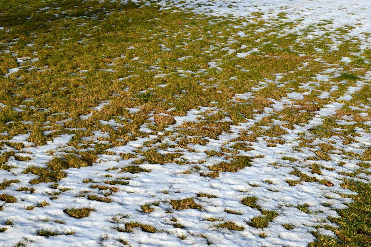 M. Kubli Gartenbau: Wie pflege ich meinen Rasen im Frühling?