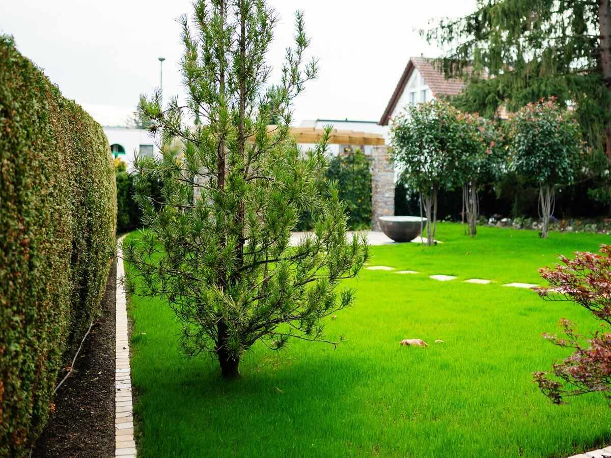 Laubentfernung und Flächenreinigung Laubentfernung und Flächenreinigung