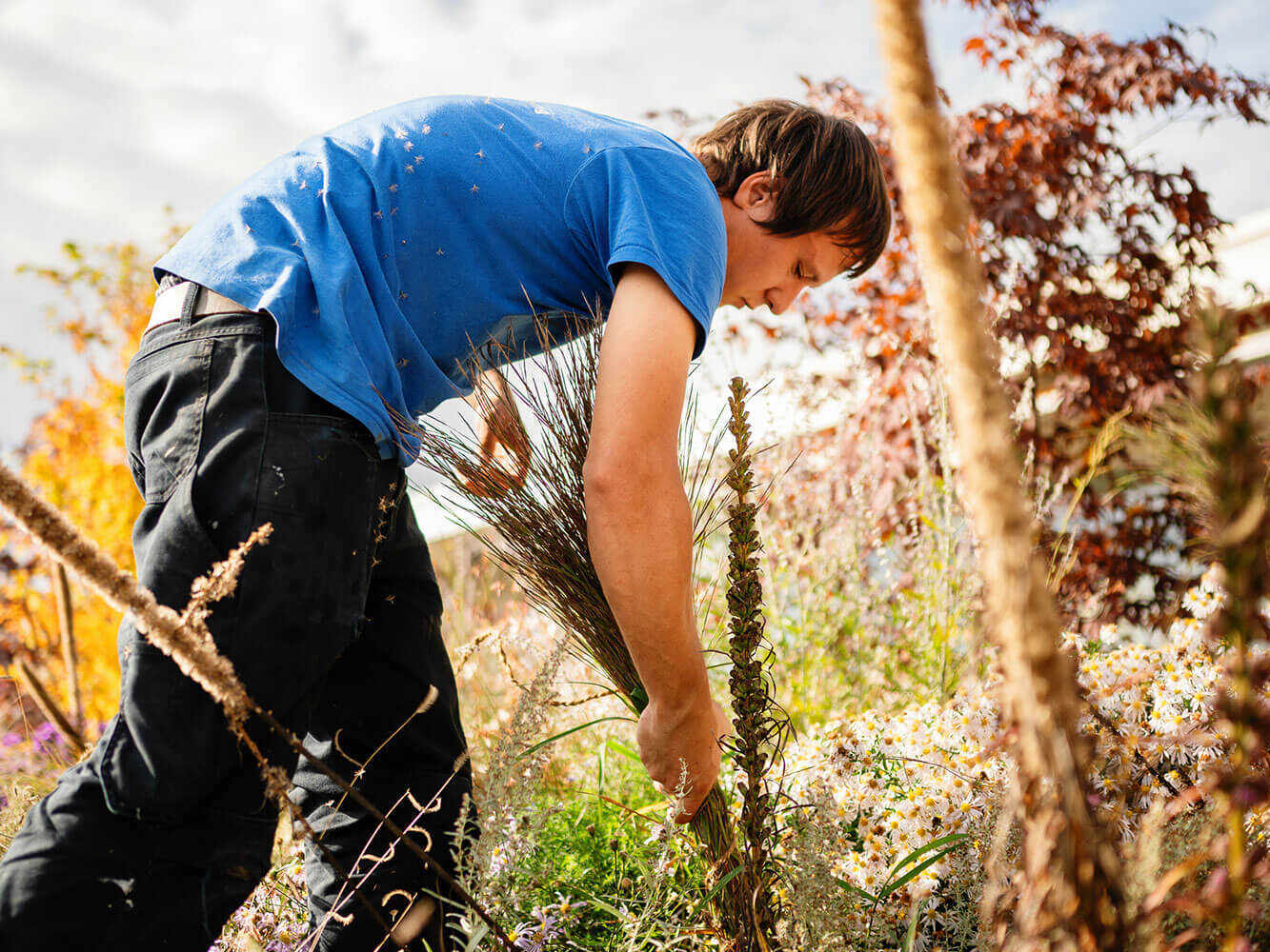 Professioneller Gartenunterhalt
