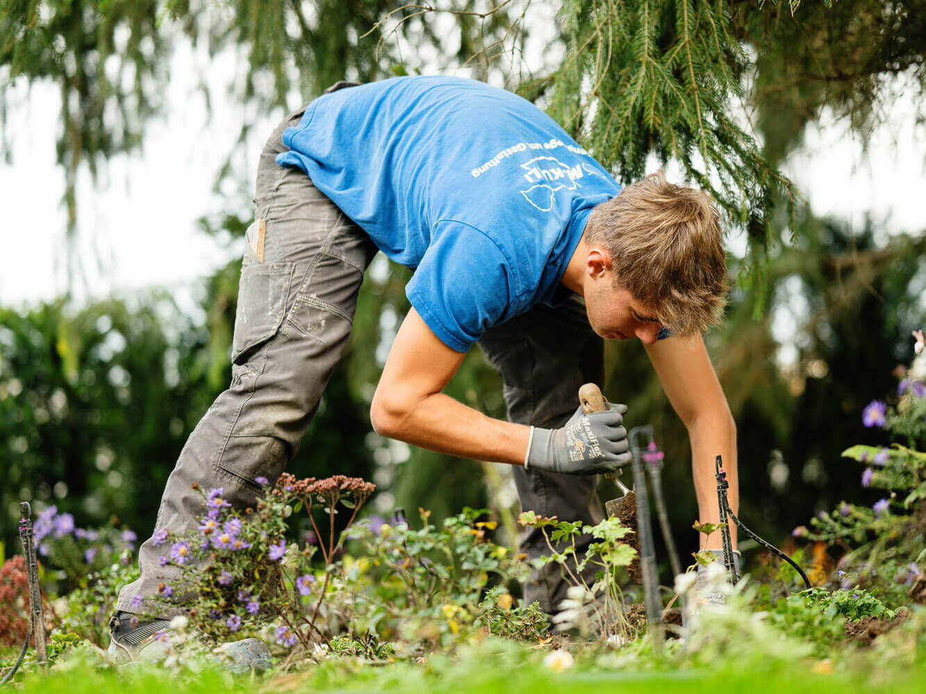 Individuelle Begrünungslösungen Individuelle Begrünungslösungen