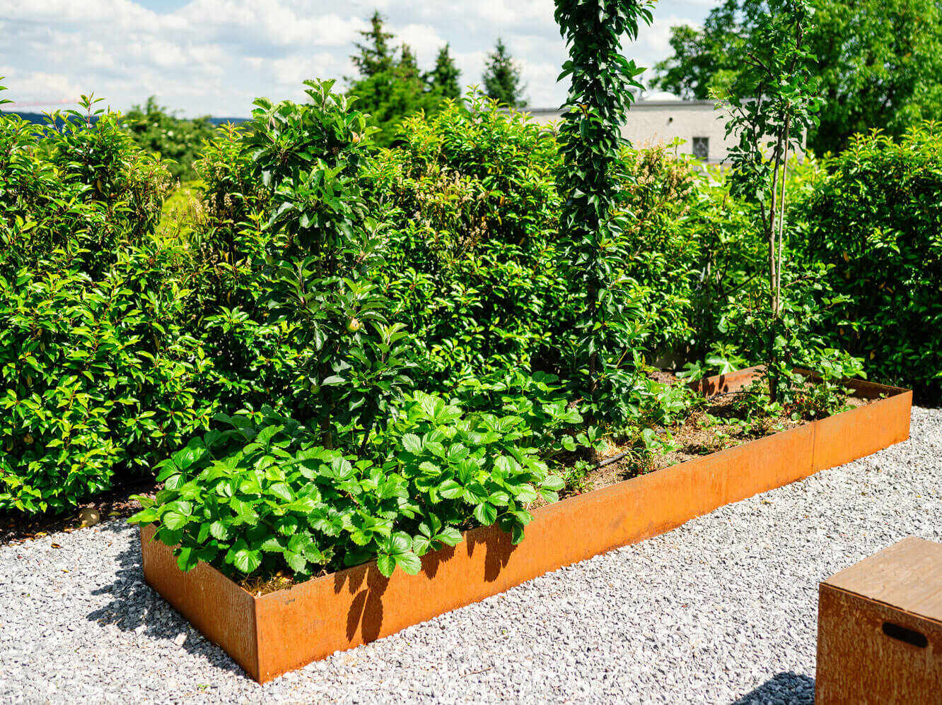 Bewässerung und Wassermanagement