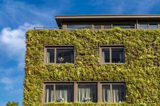 Fassadenbegrünung mit Mehrwert | M. Kubli Gartenbau