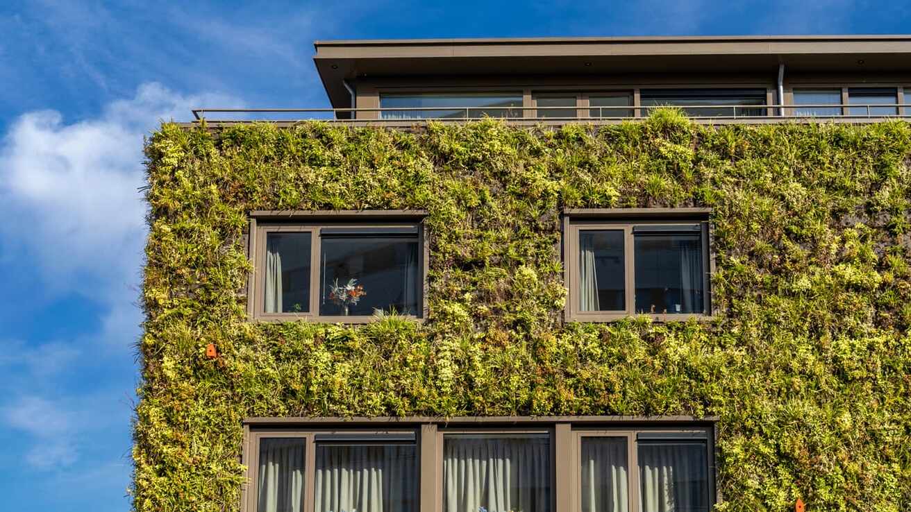 Fassadenbegrünung mit Mehrwert | M. Kubli Gartenbau Fassadenbegrünung mit Mehrwert | M. Kubli Gartenbau