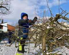 Winterschnitt bei Bäumen und Sträuchern - M. Kubli Gartenpflege und Gestaltung, Niederglatt