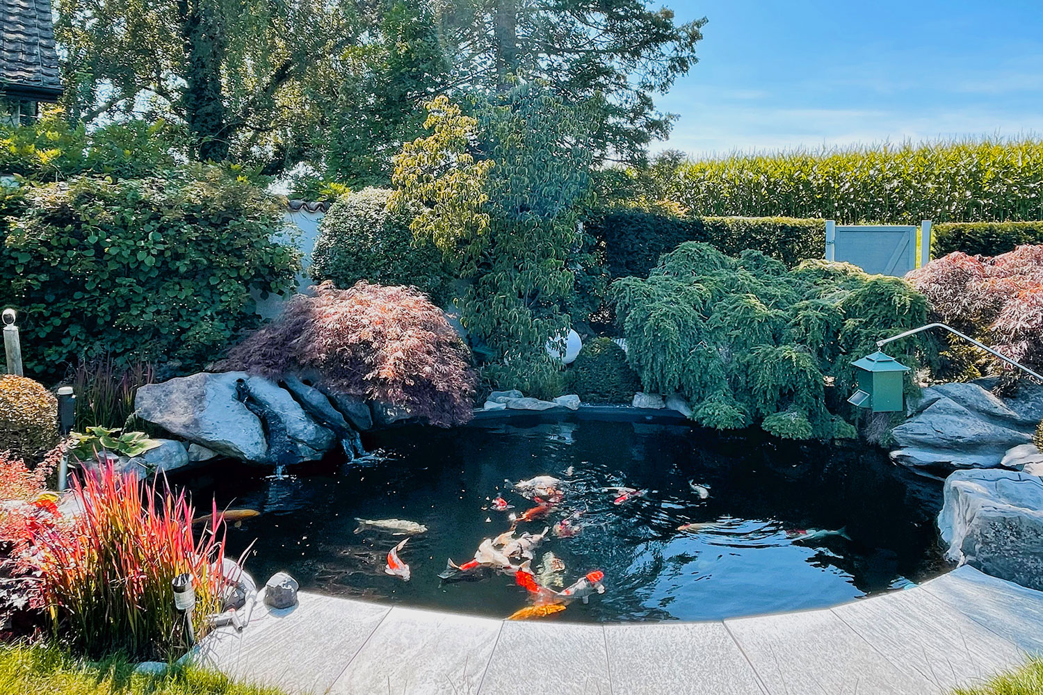 Gartenteich und Biotope
