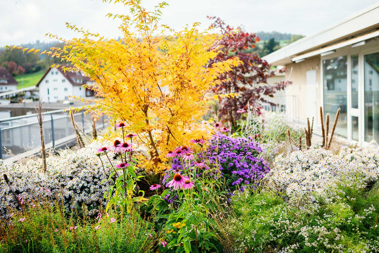 Warum M. Kubli Gartenpflege und Gestaltung Warum M. Kubli Gartenpflege und Gestaltung